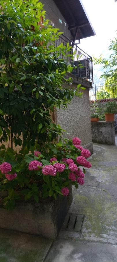 La Casetta Di Vassena Oliveto Lario ภายนอก รูปภาพ